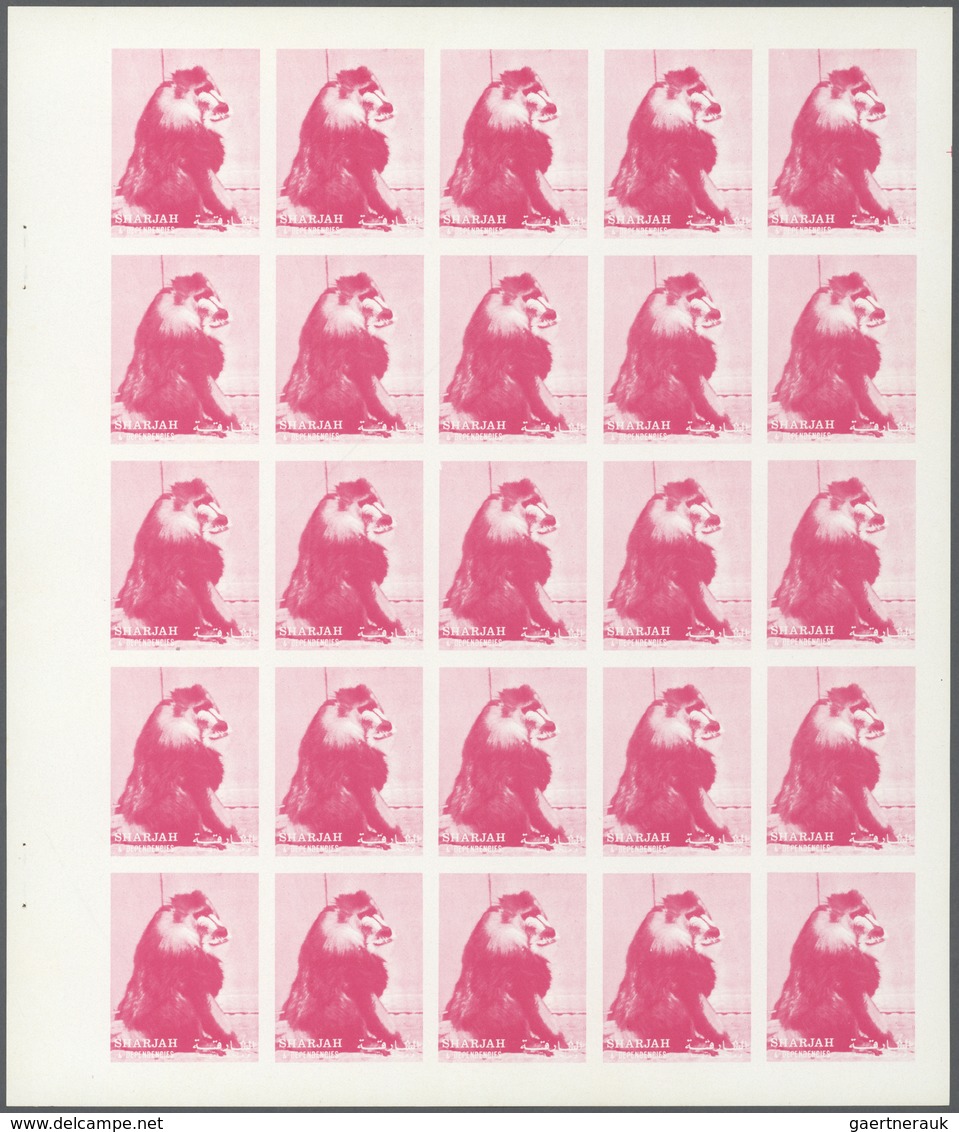 11032 Thematik: Tiere-Affen / Animals-monkeys: 1972. Sharjah. Progressive Proof (5 Phases) In Complete She - Singes