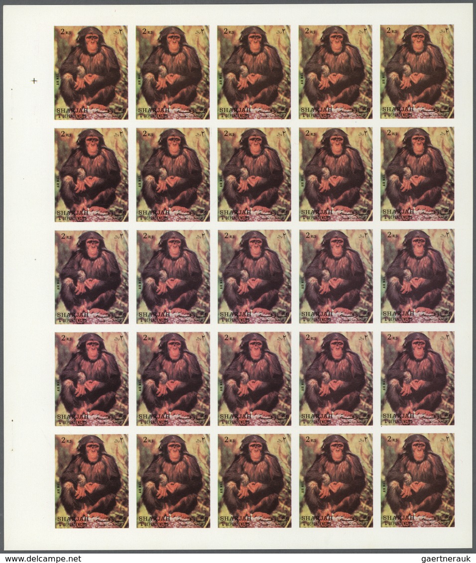 11034 Thematik: Tiere-Affen / Animals-monkeys: 1972. Sharjah. Progressive Proof (6 Phases) In Complete She - Singes