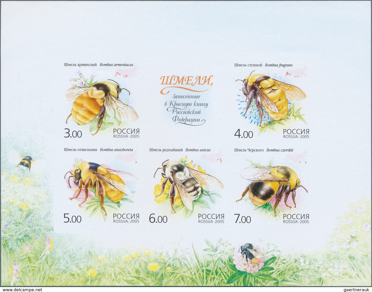 11037 Thematik: Tiere-Bienen / Animals-bees: 2005, Russia. IMPERFORATE Souvenir Sheet Of 5 (+ 1 Label) Sho - Abeilles
