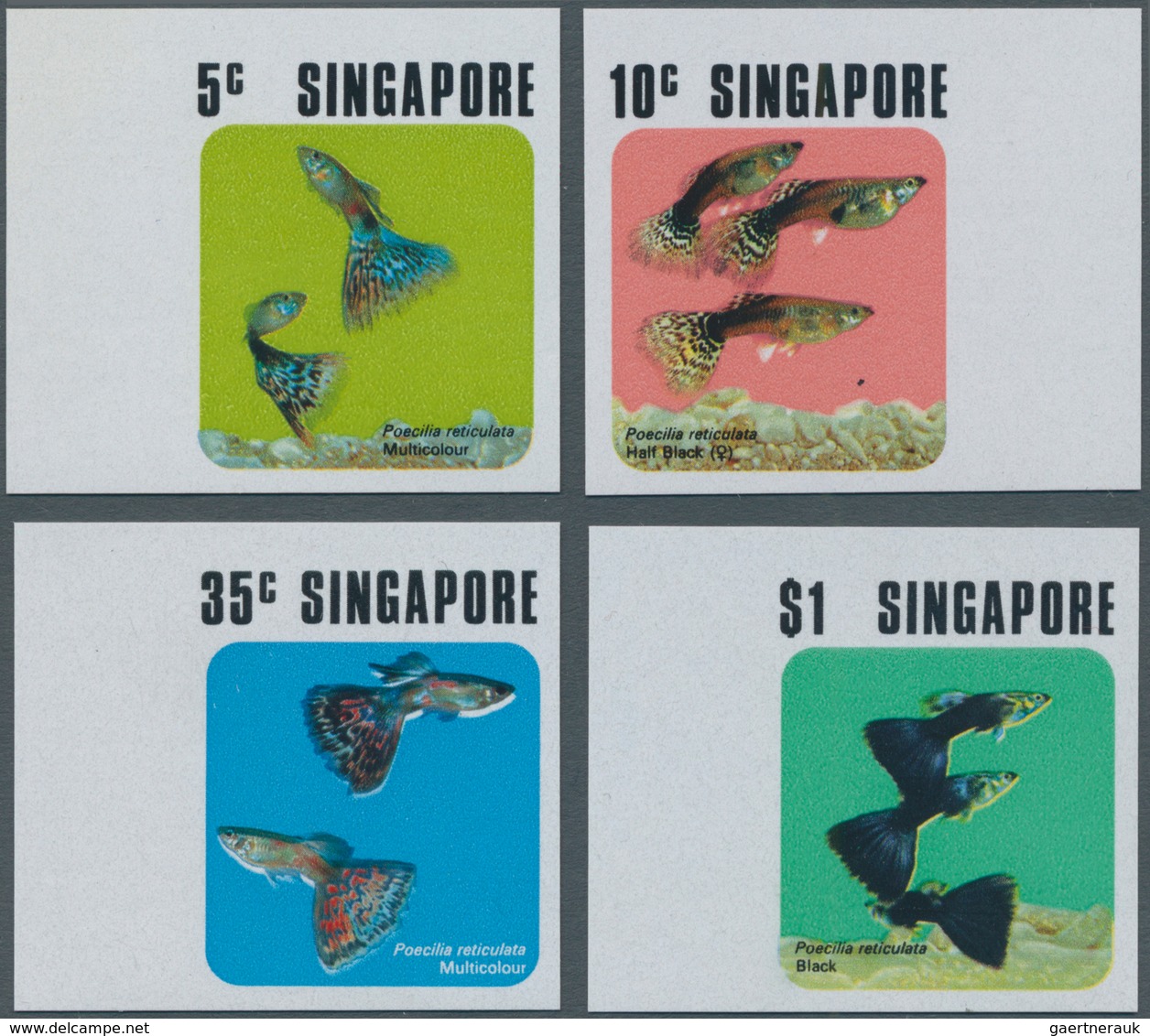 11052 Thematik: Tiere-Fische / Animals-fishes: 1974, Singapore. Complete Set (4 Values) AQUARIUM FISH In I - Fische