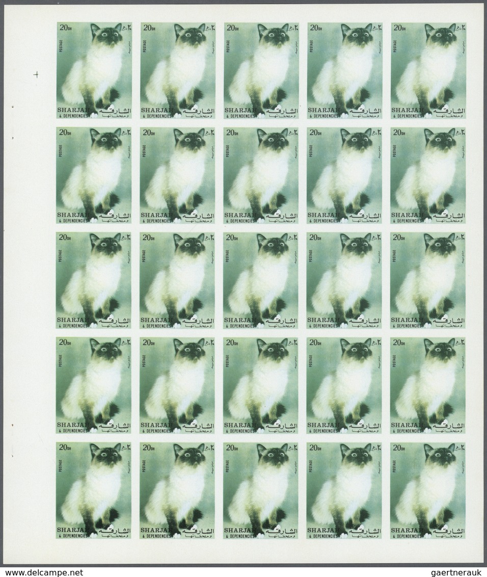 11073 Thematik: Tiere-Katzen / Animals-cats: 1972. Sharjah. Progressive Proof (6 Phases) In Complete Sheet - Hauskatzen