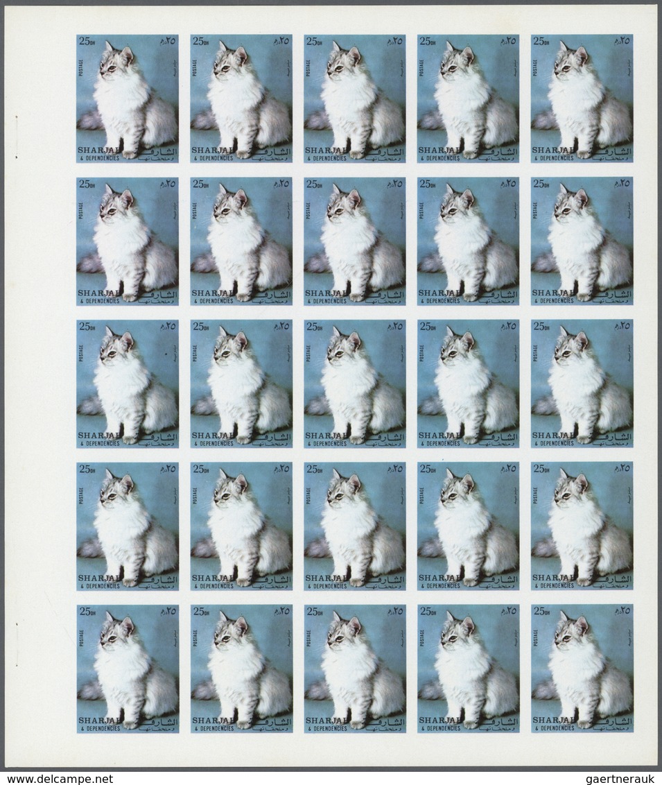 11074 Thematik: Tiere-Katzen / Animals-cats: 1972. Sharjah. Progressive Proof (6 Phases) In Complete Sheet - Chats Domestiques