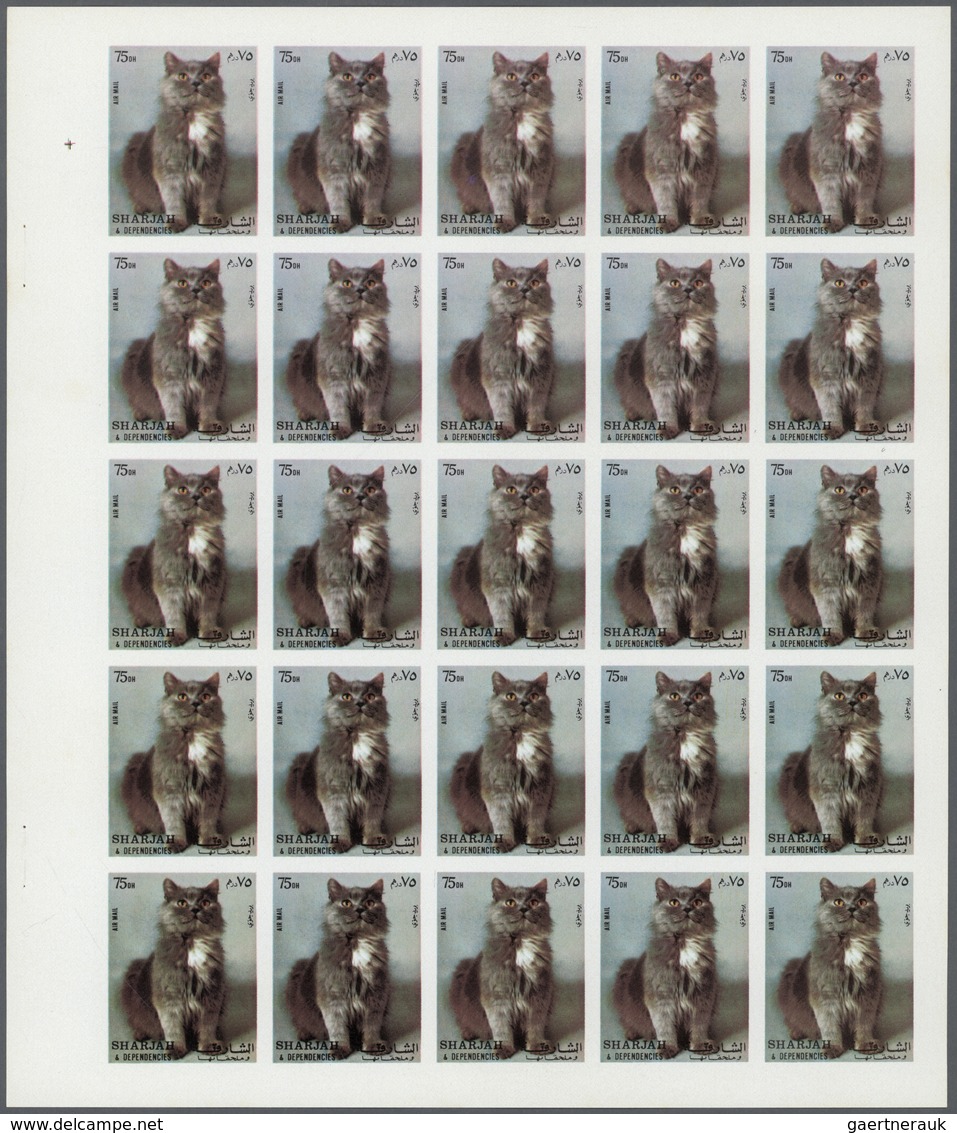 11075 Thematik: Tiere-Katzen / Animals-cats: 1972. Sharjah. Progressive Proof (7 Phases) In Complete Sheet - Chats Domestiques