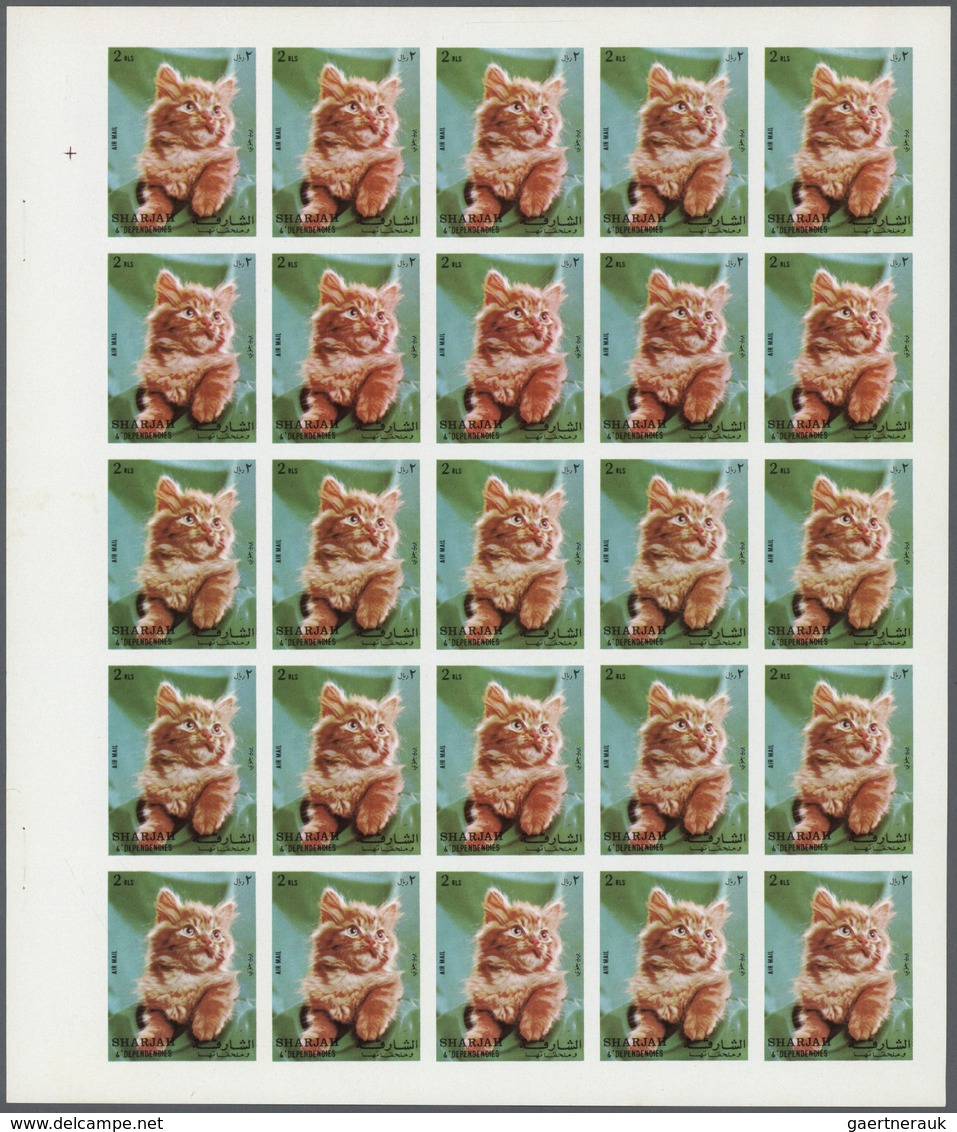 11077 Thematik: Tiere-Katzen / Animals-cats: 1972. Sharjah. Progressive Proof (6 Phases) In Complete Sheet - Hauskatzen