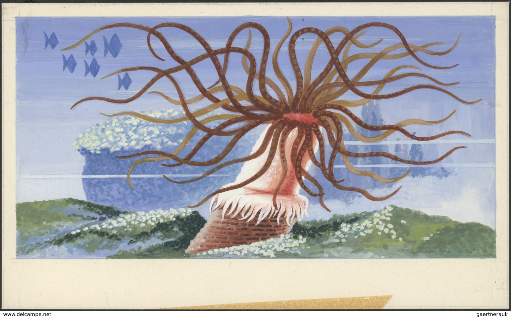 11083 Thematik: Tiere-Meerestiere / Animals-sea Animals: 1972, Umm Al-Qaiwain. Artist's Drawing For The 50 - Meereswelt