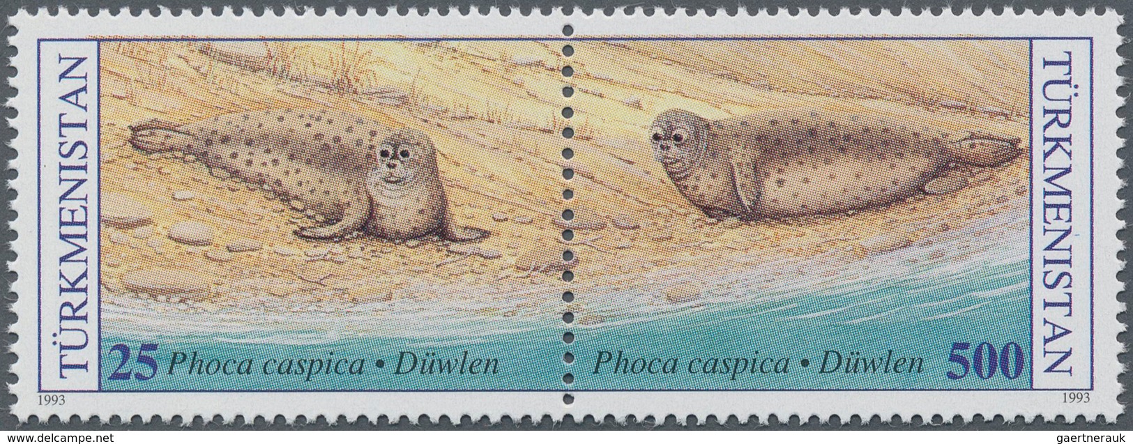 11085 Thematik: Tiere-Meerestiere / Animals-sea Animals: 1993, TURKMENISTAN: Caspic Seal 'Phoca Caspica' S - Vie Marine