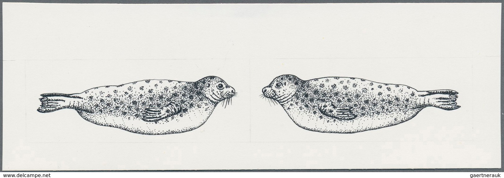 11085 Thematik: Tiere-Meerestiere / Animals-sea Animals: 1993, TURKMENISTAN: Caspic Seal 'Phoca Caspica' S - Vie Marine