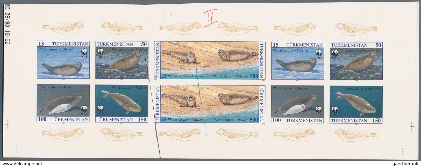 11085 Thematik: Tiere-Meerestiere / animals-sea animals: 1993, TURKMENISTAN: Caspic seal 'Phoca caspica' s