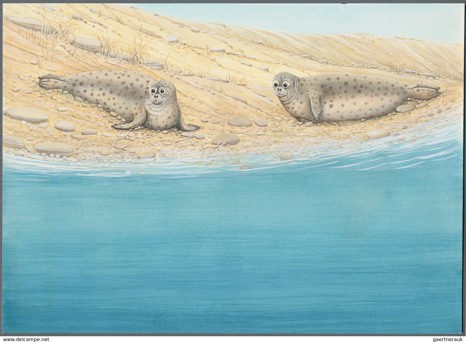 11085 Thematik: Tiere-Meerestiere / animals-sea animals: 1993, TURKMENISTAN: Caspic seal 'Phoca caspica' s