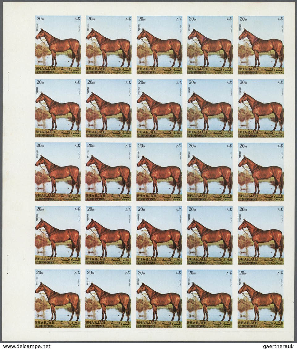 11099 Thematik: Tiere-Pferde / Animals-horses: 1972. Sharjah. Progressive Proof (6 Phases) In Complete She - Chevaux