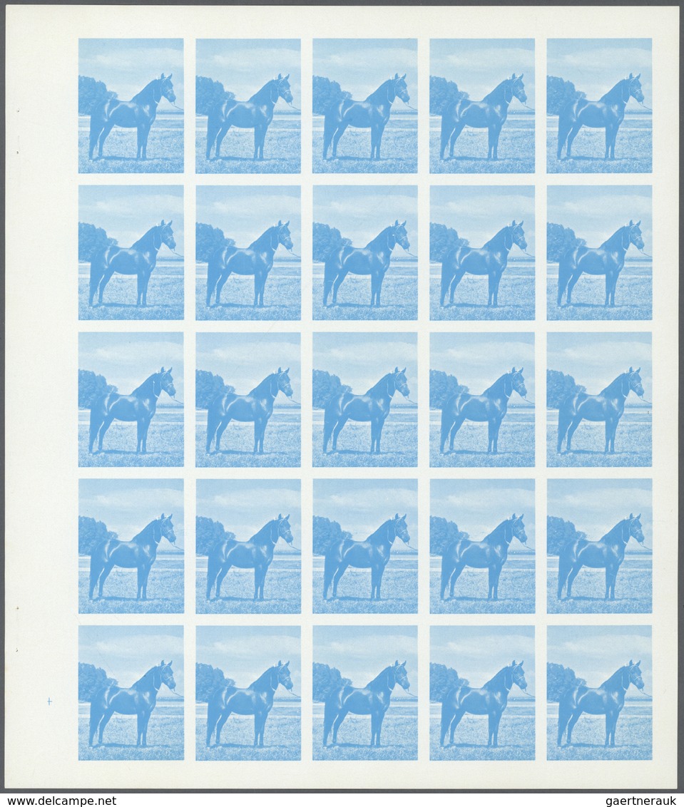 11103 Thematik: Tiere-Pferde / Animals-horses: 1972. Sharjah. Progressive Proof (6 Phases) In Complete She - Chevaux