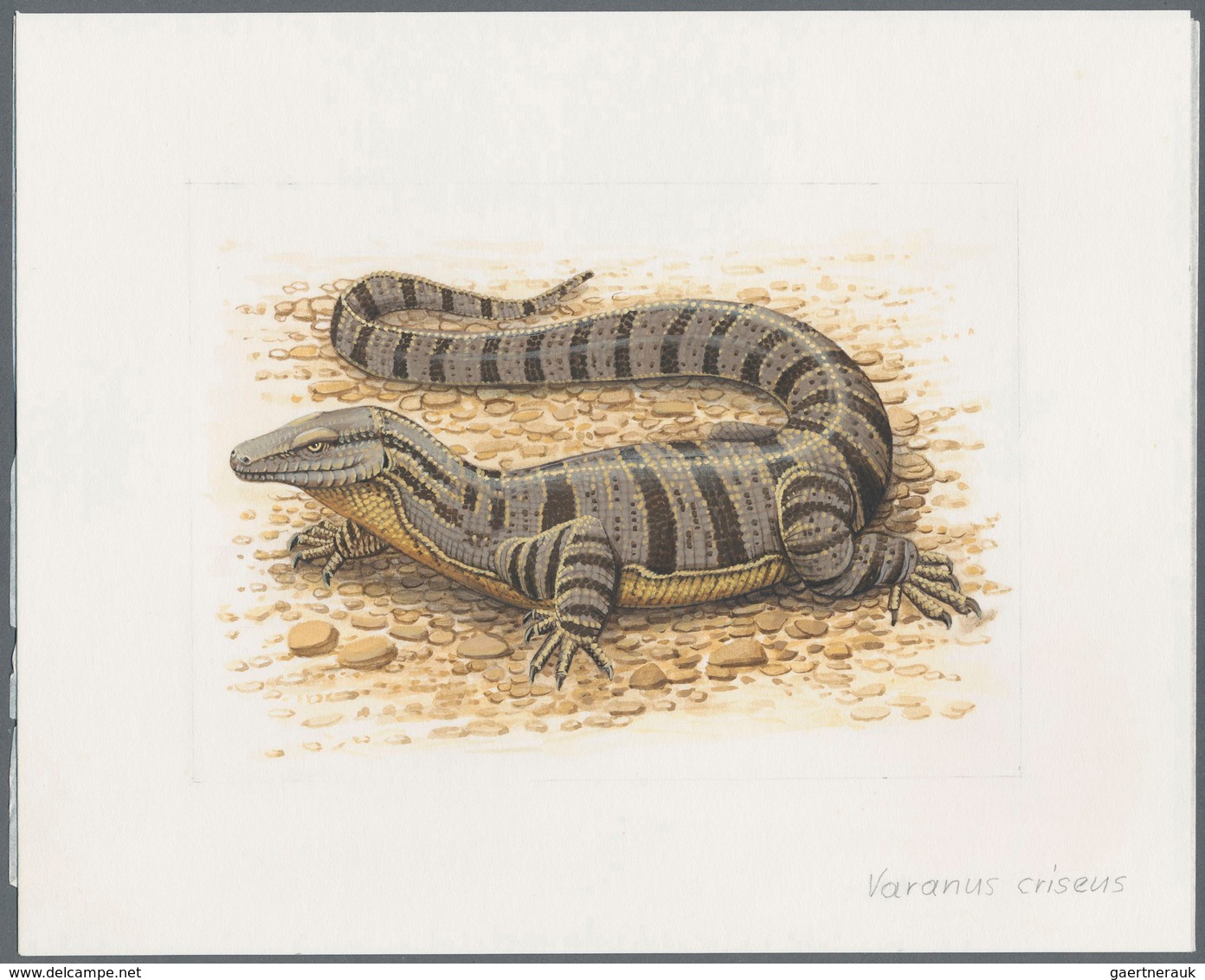 11110 Thematik: Tiere-Reptilien / Animals-reptiles: 1995, TAJIKISTAN: Native LIZARDS Set Of Seven Differen - Autres & Non Classés