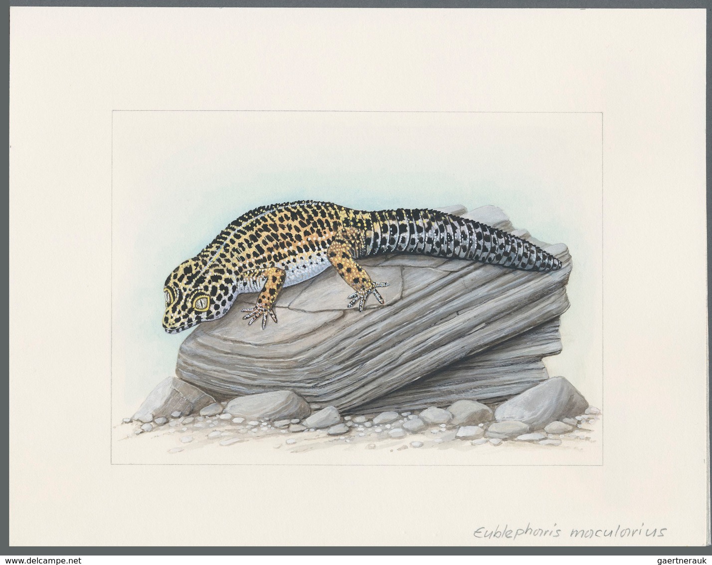 11110 Thematik: Tiere-Reptilien / animals-reptiles: 1995, TAJIKISTAN: native LIZARDS set of seven differen