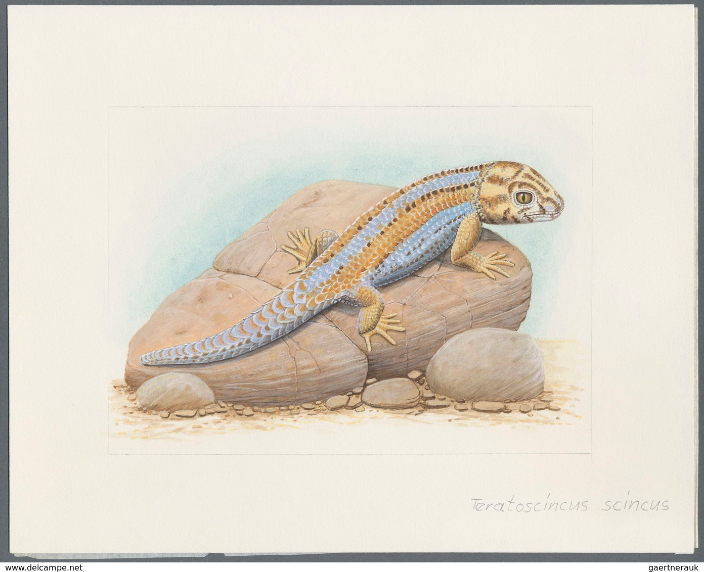 11110 Thematik: Tiere-Reptilien / animals-reptiles: 1995, TAJIKISTAN: native LIZARDS set of seven differen