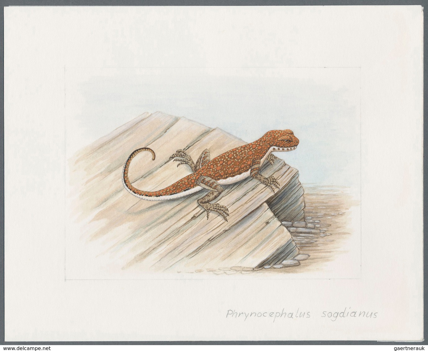 11110 Thematik: Tiere-Reptilien / animals-reptiles: 1995, TAJIKISTAN: native LIZARDS set of seven differen