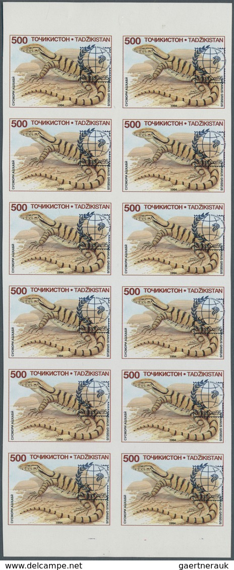 11111 Thematik: Tiere-Reptilien / Animals-reptiles: 1995, TAJIKISTAN: Varanus Griseus 500r. With Blue Opt. - Sonstige & Ohne Zuordnung