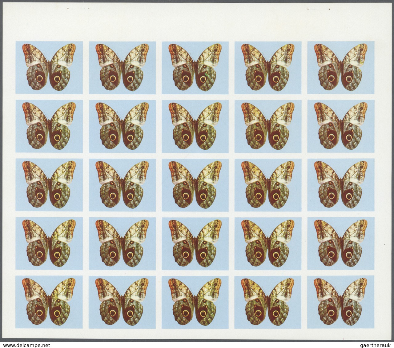 11122 Thematik: Tiere-Schmetterlinge / Animals-butterflies: 1972. Sharjah. Progressive Proof (5 Phases) In - Papillons