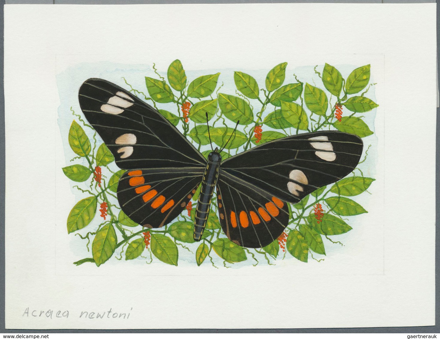 11131 Thematik: Tiere-Schmetterlinge / Animals-butterflies: 2001, SAO TOME E PRINCIPE: Native BUTTERFLIES - Papillons