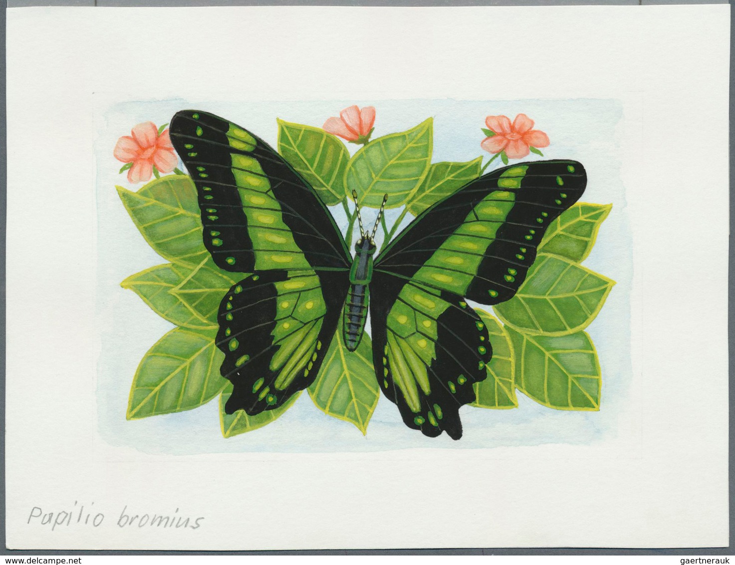 11131 Thematik: Tiere-Schmetterlinge / Animals-butterflies: 2001, SAO TOME E PRINCIPE: Native BUTTERFLIES - Papillons