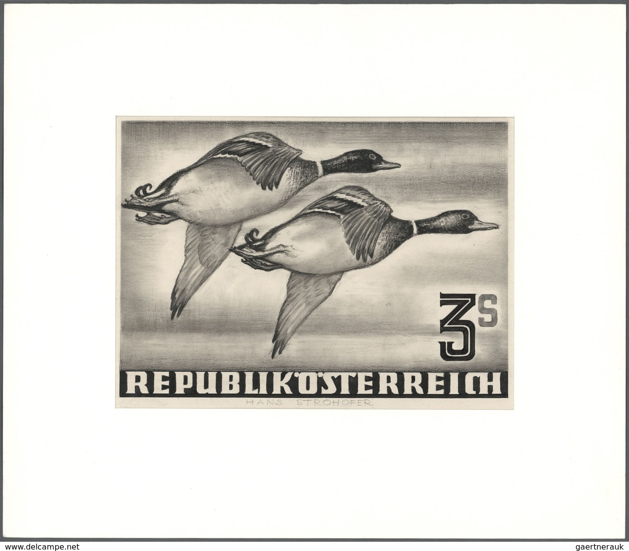 11136 Thematik: Tiere-Vögel / Animals-birds: 1950/1953, Austria. Artist's Drawing For A Non-issued 3s Stam - Sonstige & Ohne Zuordnung