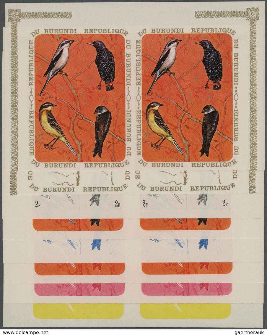 11144 Thematik: Tiere-Vögel / Animals-birds: 1970, Burundi, Lanius Excubitor, Sturnus Vulgaris, Motacilla - Sonstige & Ohne Zuordnung