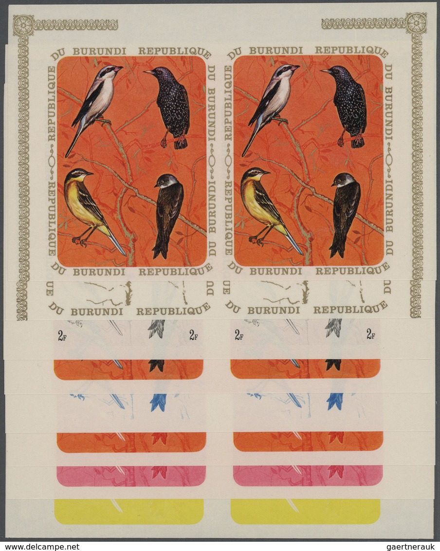 11144 Thematik: Tiere-Vögel / Animals-birds: 1970, Burundi, Lanius Excubitor, Sturnus Vulgaris, Motacilla - Autres & Non Classés