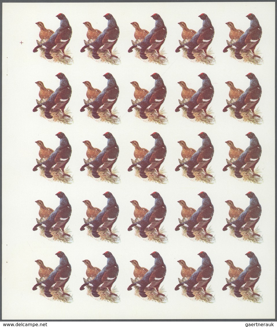 11152 Thematik: Tiere-Vögel / Animals-birds: 1972. Sharjah. Progressive Proof (6 Phases) In Complete Sheet - Autres & Non Classés