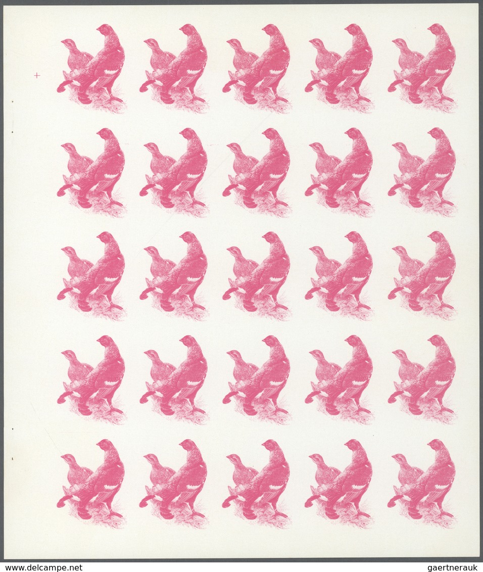 11152 Thematik: Tiere-Vögel / Animals-birds: 1972. Sharjah. Progressive Proof (6 Phases) In Complete Sheet - Autres & Non Classés
