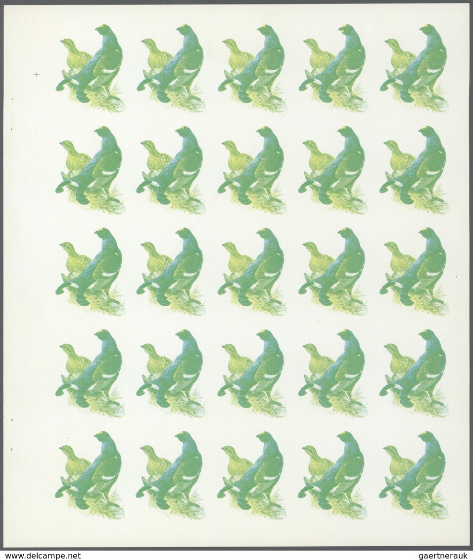 11152 Thematik: Tiere-Vögel / Animals-birds: 1972. Sharjah. Progressive Proof (6 Phases) In Complete Sheet - Autres & Non Classés