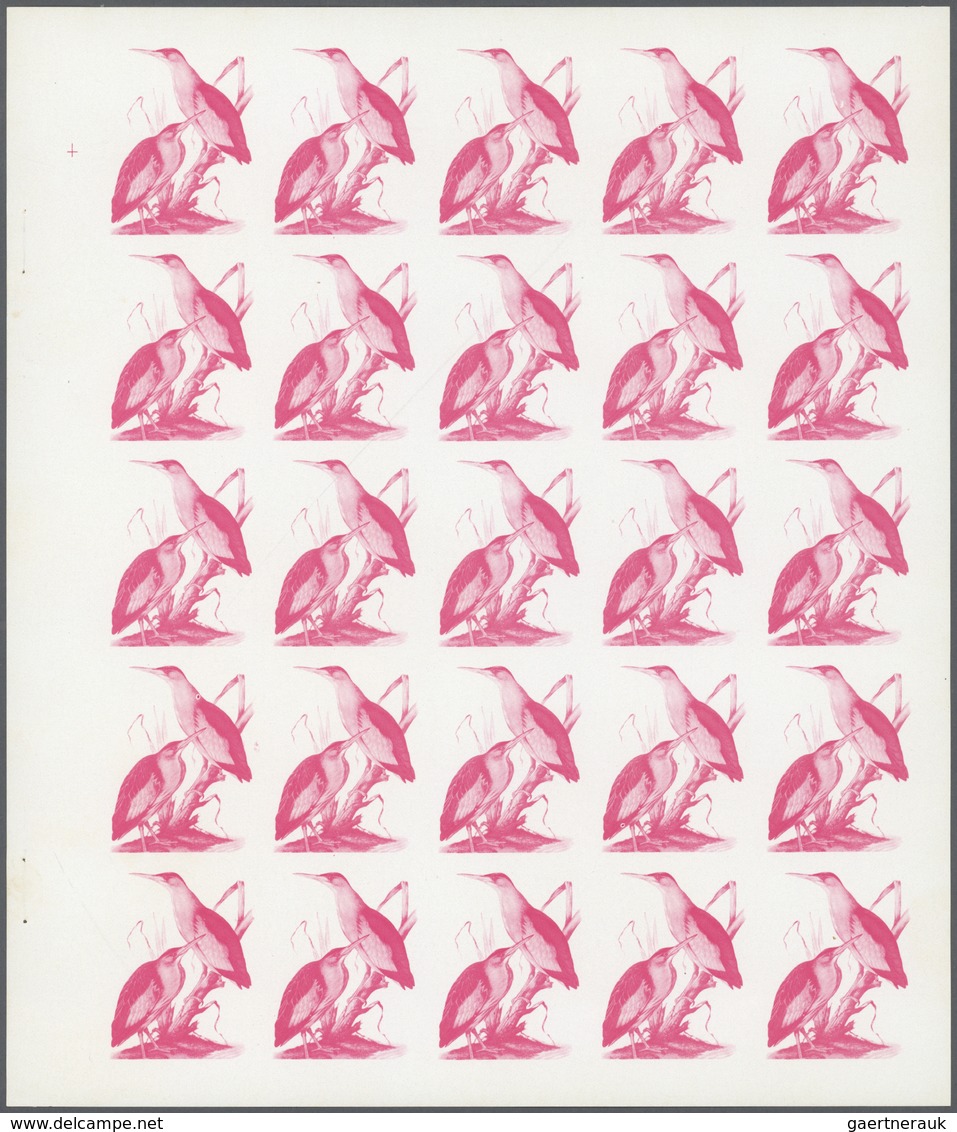 11154 Thematik: Tiere-Vögel / Animals-birds: 1972. Sharjah. Progressive Proof (5 Phases) In Complete Sheet - Autres & Non Classés