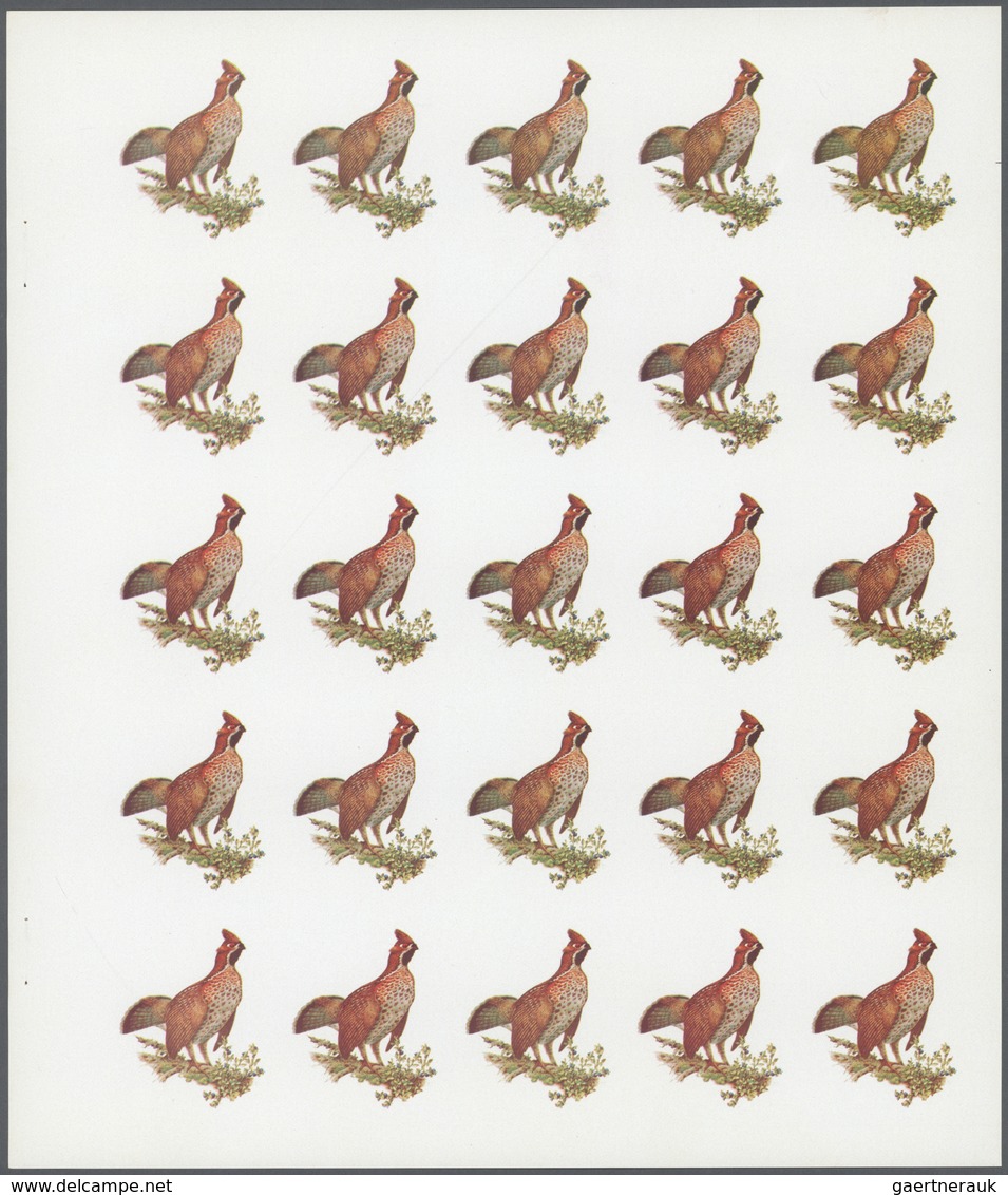 11155 Thematik: Tiere-Vögel / Animals-birds: 1972. Sharjah. Progressive Proof (7 Phases) In Complete Sheet - Altri & Non Classificati