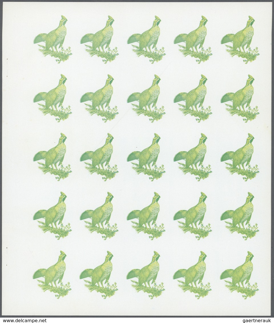 11155 Thematik: Tiere-Vögel / Animals-birds: 1972. Sharjah. Progressive Proof (7 Phases) In Complete Sheet - Sonstige & Ohne Zuordnung