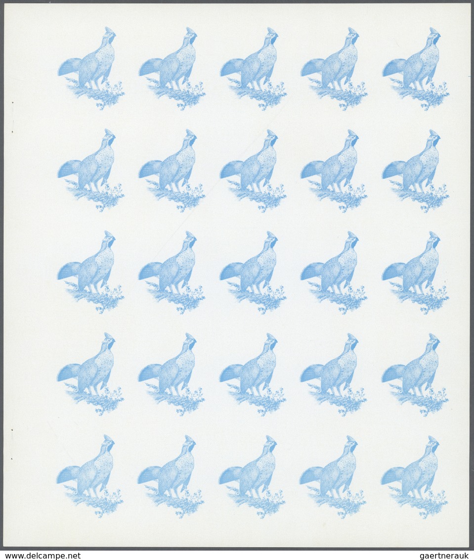 11155 Thematik: Tiere-Vögel / animals-birds: 1972. Sharjah. Progressive proof (7 phases) in complete sheet