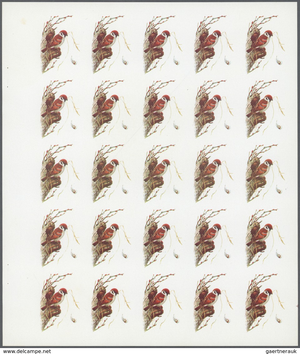 11156 Thematik: Tiere-Vögel / Animals-birds: 1972. Sharjah. Progressive Proof (6 Phases) In Complete Sheet - Autres & Non Classés