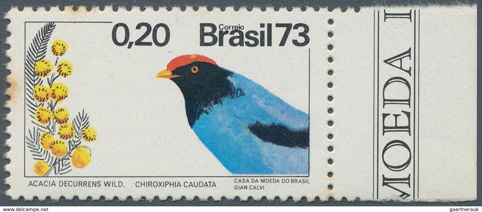 11161 Thematik: Tiere-Vögel / Animals-birds: Brasil 1973, 0,20 C. Bird Missing Shadow In Light Blue, Some - Autres & Non Classés