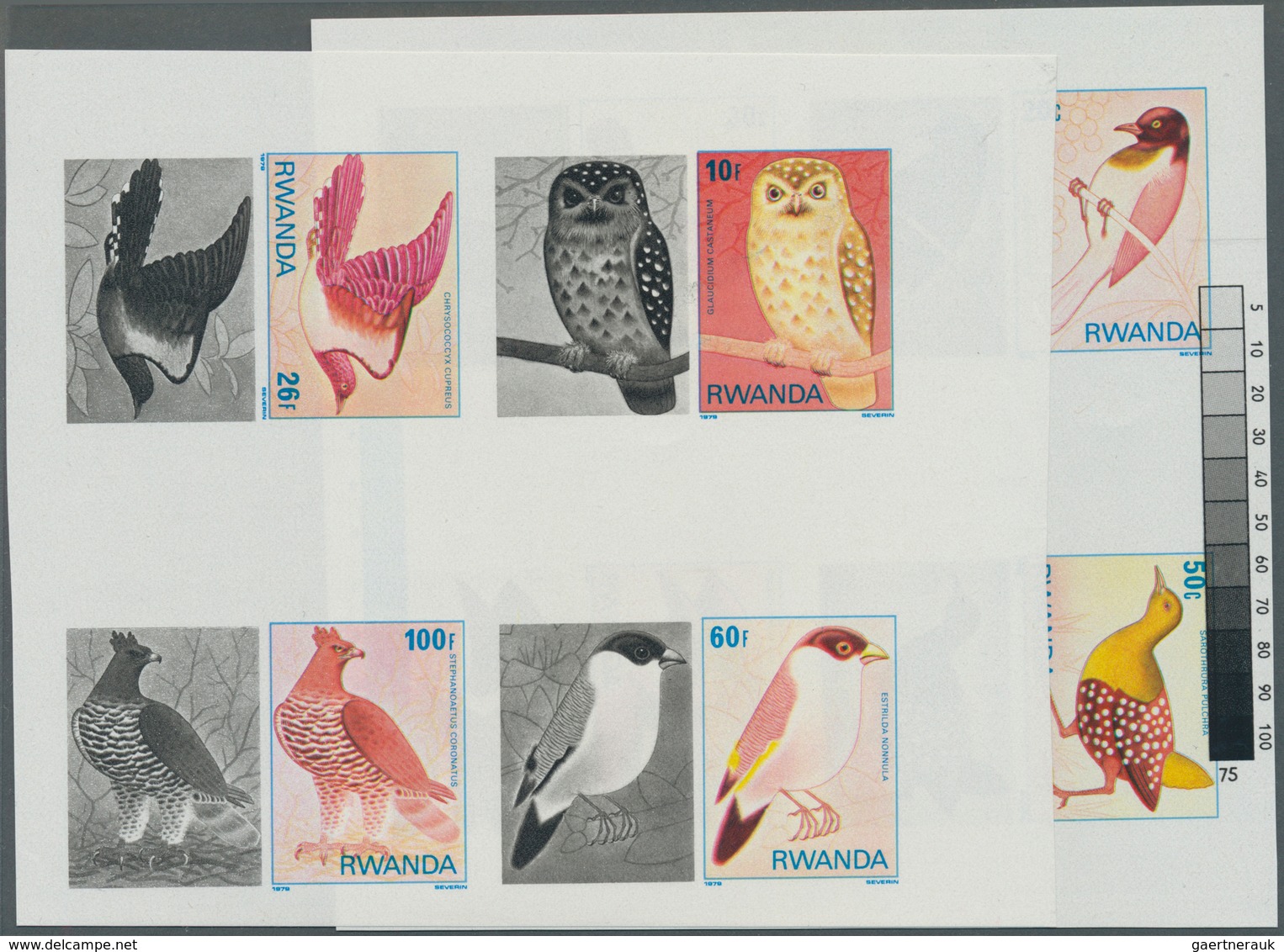 11166 Thematik: Tiere-Vögel / Animals-birds: 1980, RUANDA: Birds From Nyungwe Forest Complete Set Of Eight - Sonstige & Ohne Zuordnung