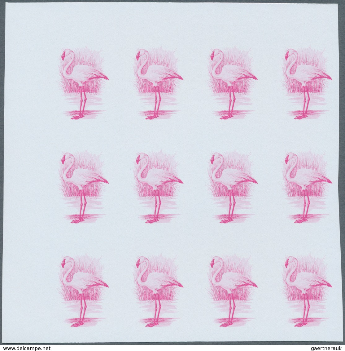 11184 Thematik: Tiere-Vögel / Animals-birds: 1988, MAROKKO: Birds Set Of Two Values 3.60dh. 'Phoenicopteru - Sonstige & Ohne Zuordnung