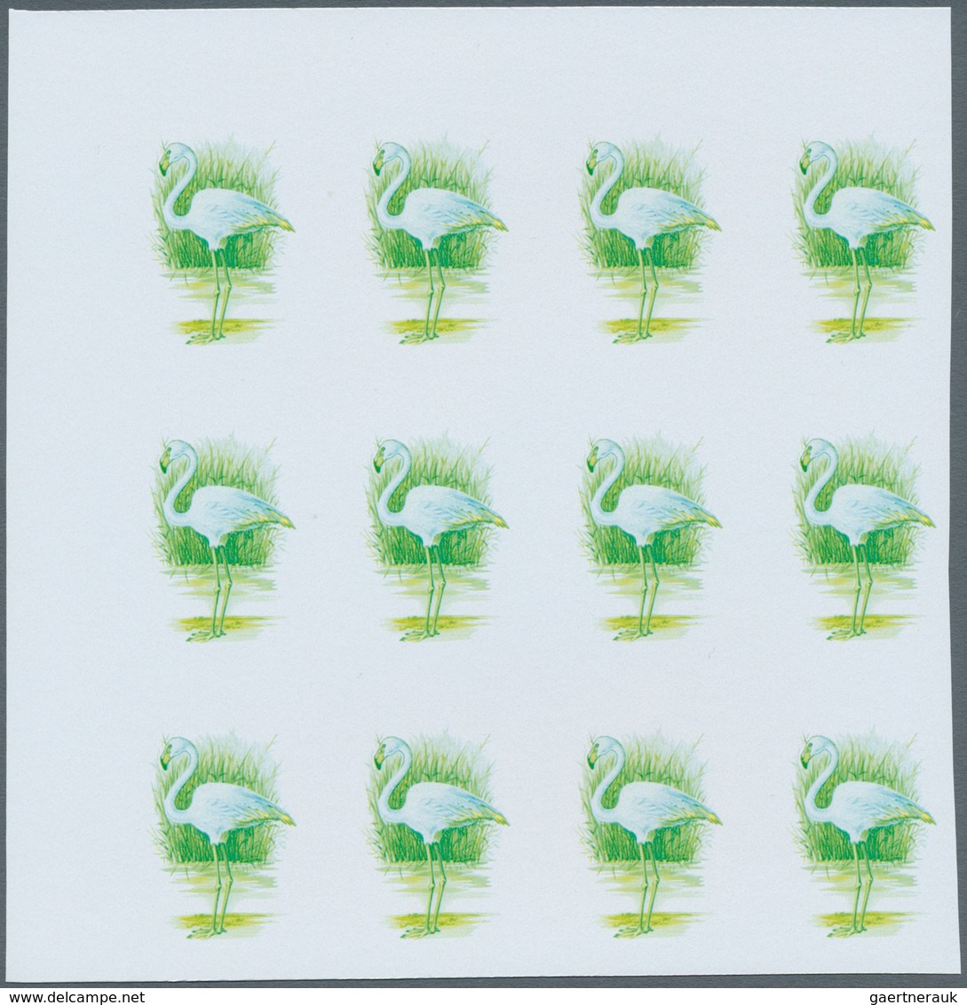 11184 Thematik: Tiere-Vögel / animals-birds: 1988, MAROKKO: Birds set of two values 3.60dh. 'Phoenicopteru