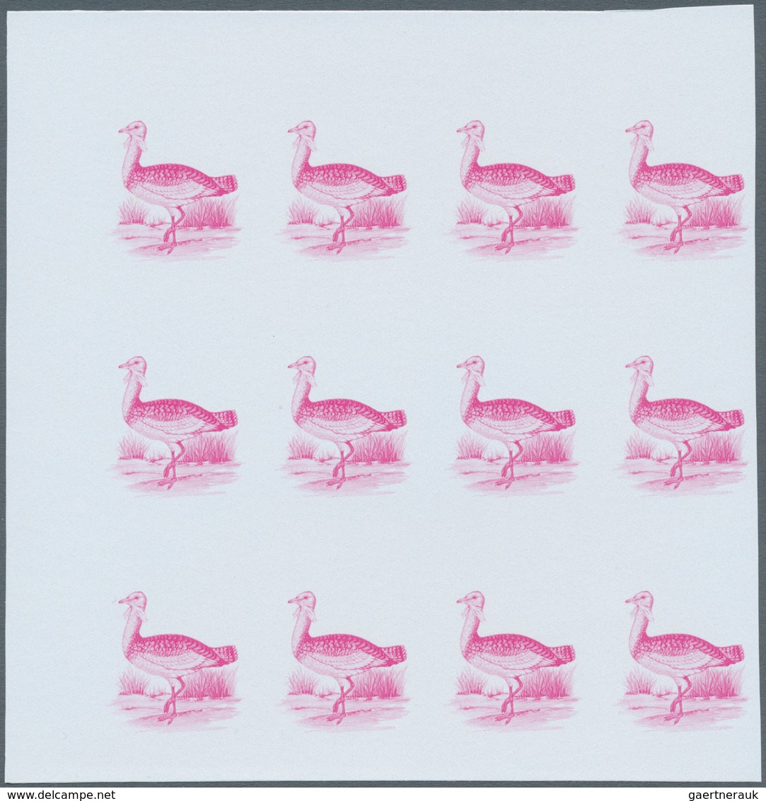 11184 Thematik: Tiere-Vögel / animals-birds: 1988, MAROKKO: Birds set of two values 3.60dh. 'Phoenicopteru