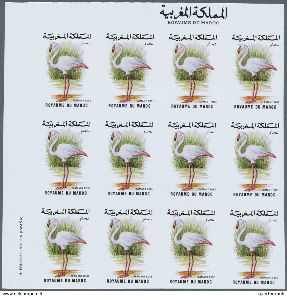 11184 Thematik: Tiere-Vögel / animals-birds: 1988, MAROKKO: Birds set of two values 3.60dh. 'Phoenicopteru