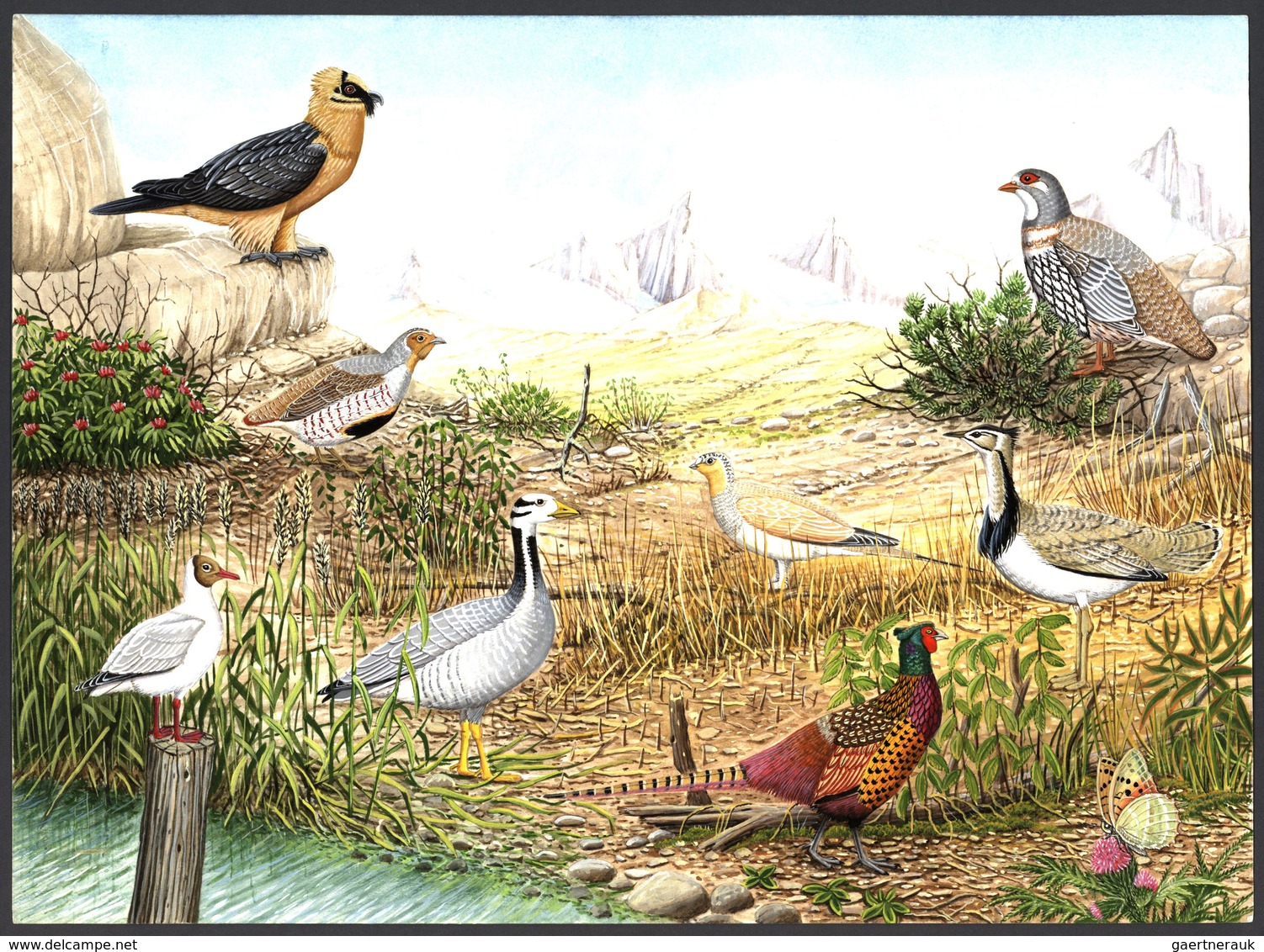 11190 Thematik: Tiere-Vögel / Animals-birds: 1996, TAJIKISTAN: Threatened BIRDS Set Of Six Different Origi - Altri & Non Classificati