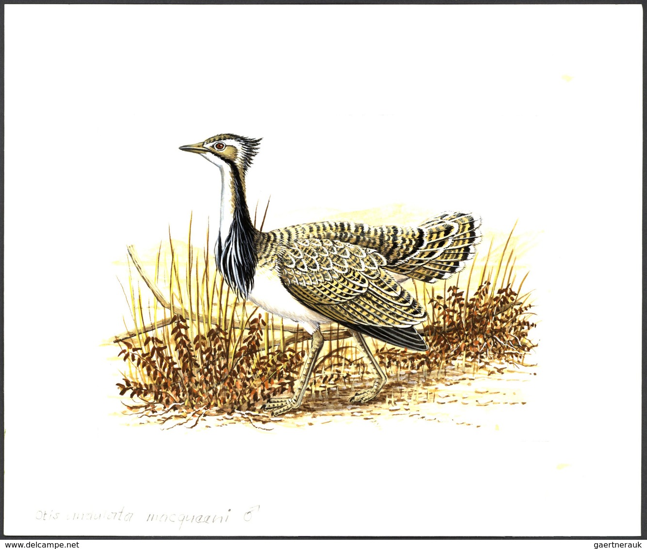 11190 Thematik: Tiere-Vögel / animals-birds: 1996, TAJIKISTAN: threatened BIRDS set of six different origi