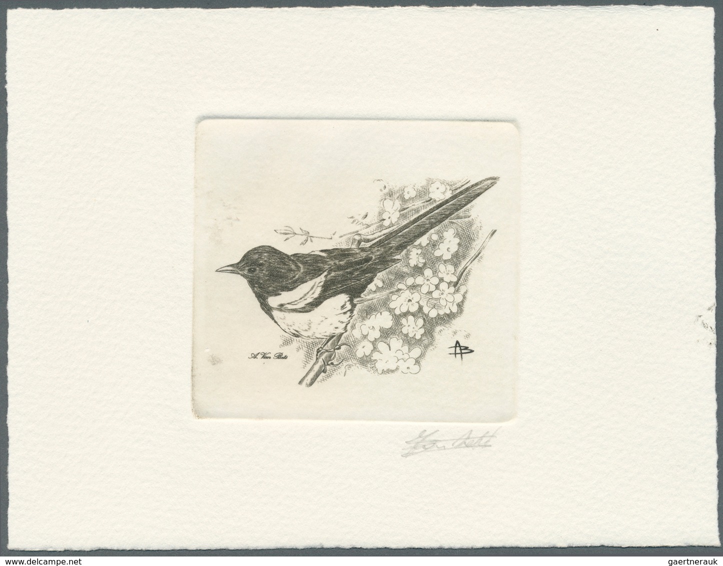 11190A Thematik: Tiere-Vögel / Animals-birds: 1997, Belgium. Epreuve D'artiste Signée In Black For The Stam - Sonstige & Ohne Zuordnung