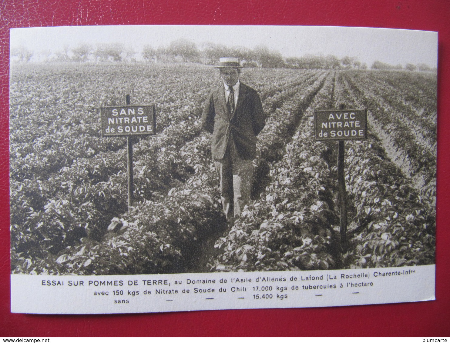 CPSM - LA ROCHELLE - ESSAI SUR POMMES DE TERRE  - DOMAINE DE L'ASILE D'ALIENES DE LAFOND - La Rochelle