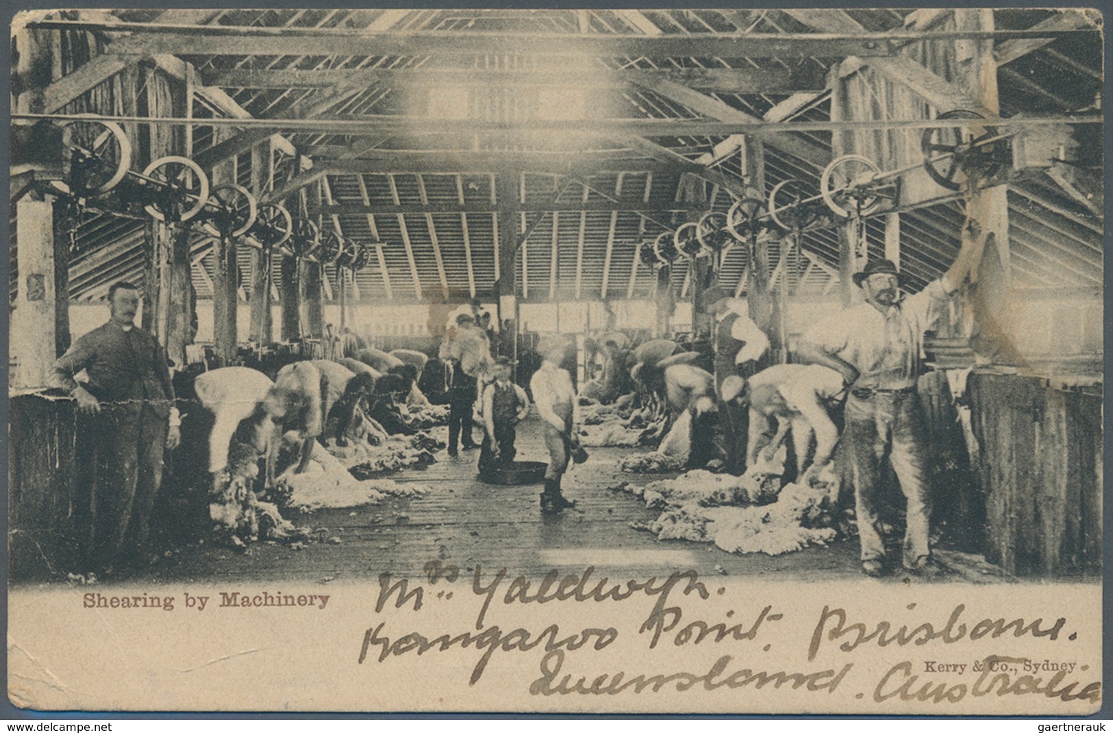11648 Queensland: 1906, 1 Penny Red On Picture Postcard "Shearing By Machinery Black /withe" (World Champi - Briefe U. Dokumente