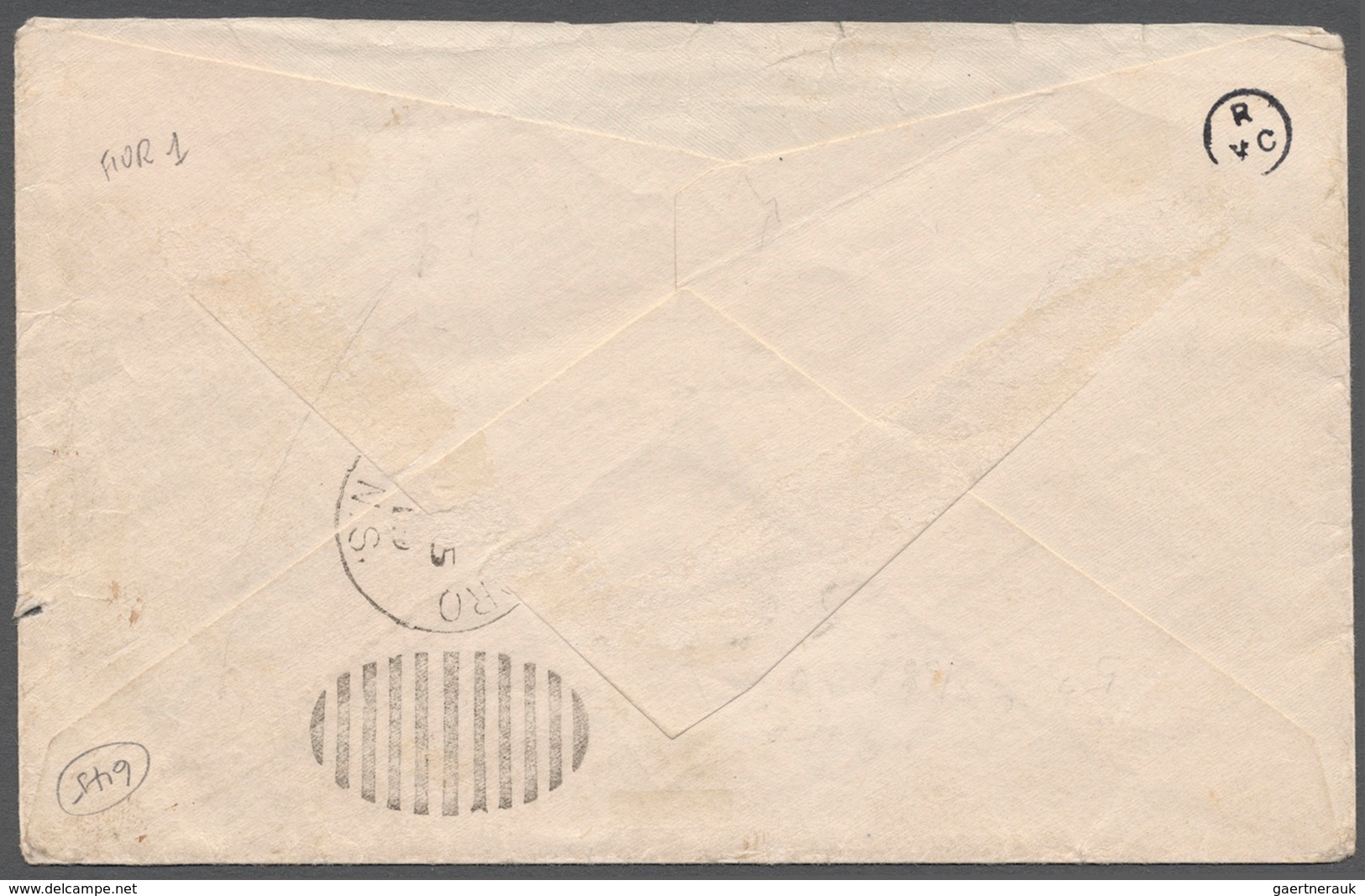 11818 Neufundland: SUPPLEMENTARY MAIL ''HANDLEY PAGE'': 1919, Unoverprinted Caribou 3 C. Brown Without Cance - 1857-1861