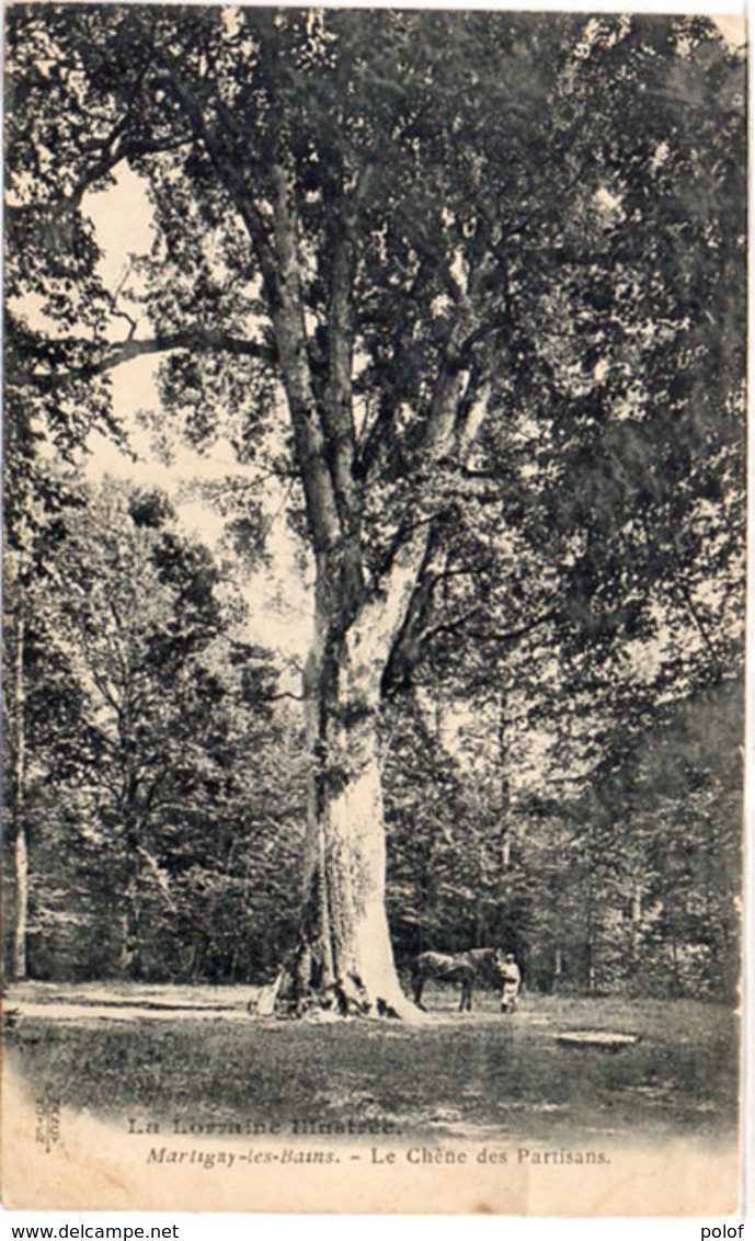 MARTIGNY LES BAINS (Vosges) Le Chêne Des Partisans  (105990) - Arbres