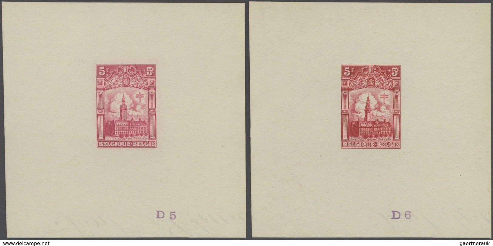 13392A Belgien: 1928, Tuberculosis Fighting, 5fr.+5fr. Leuven's University Library, set of 20 single die pr