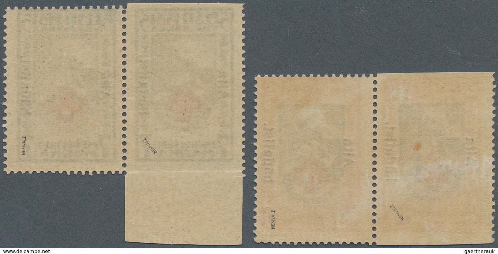 13513 Estland: 1923, 2 M. Waagerechtes "Rotes Kreuz" Paar Mit Natürlicher Gummifreier Stelle, 5 M. Im Zusa - Estland