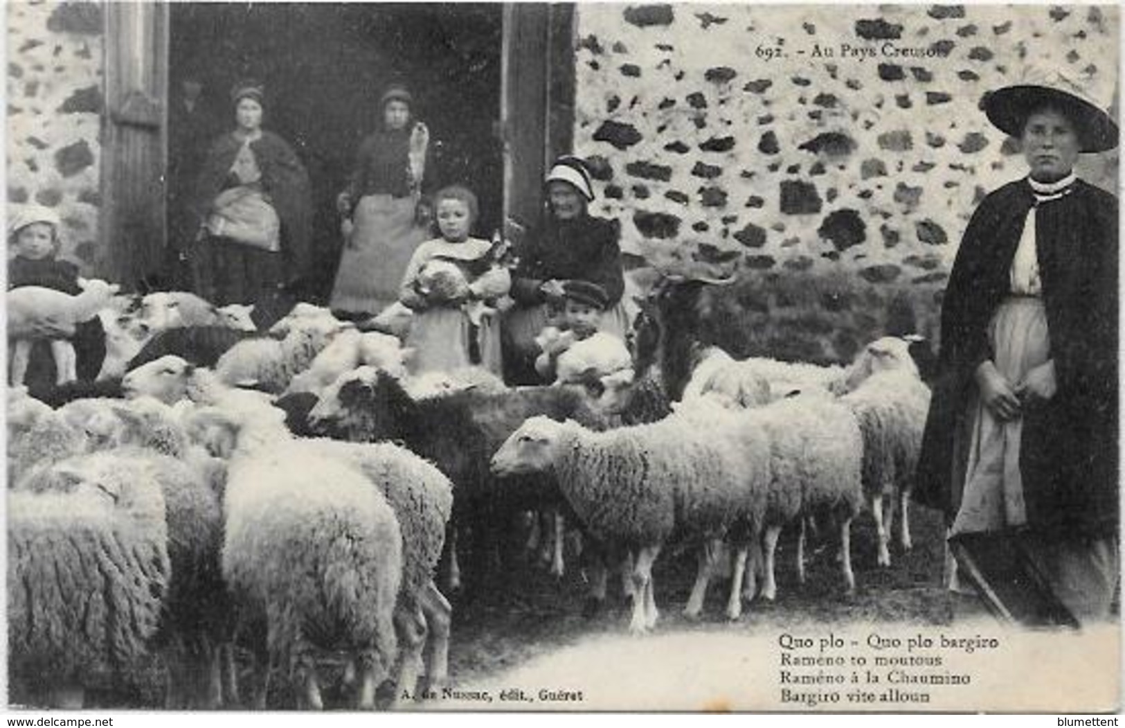 CPA Région Creuse Au Pays Creusois Non Circulé Métier Moutons Guéret - Sonstige